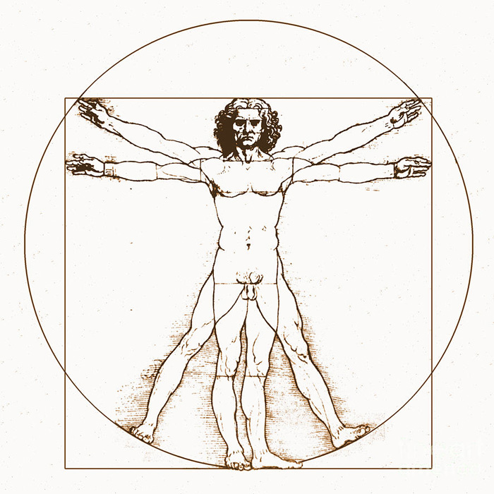 The Body—Biological Expression of the Soul’s Illusion
